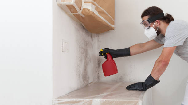 Professional Attic Mold Remediation technician working in Blairs Mills, PA